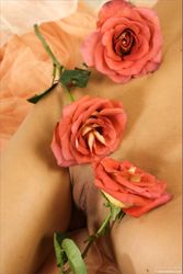Maria - Fice Roses-s5nbhlkxj6.jpg