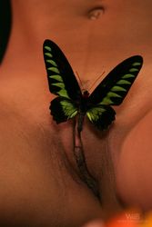 Mary - Butterflies-25llm3aroc.jpg
